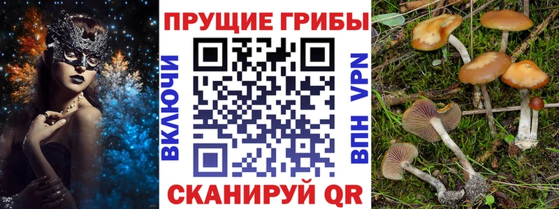 Галлюциногенные грибы MAGIC MUSHROOMS  что такое   МЕГА ONION  Брюховецкая 